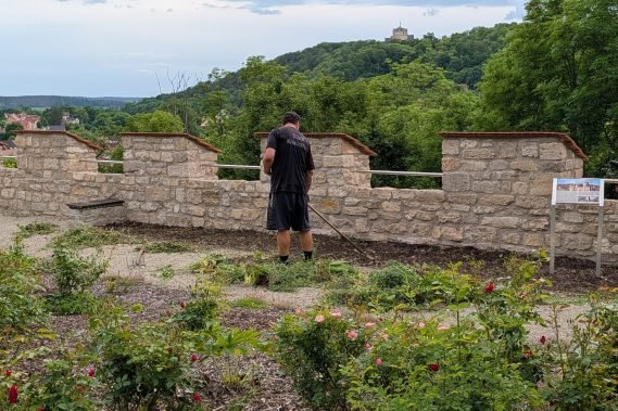 Abeitseinsatz_Rosengarten_1