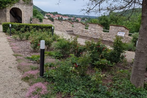 Abeitseinsatz_Rosengarten_4
