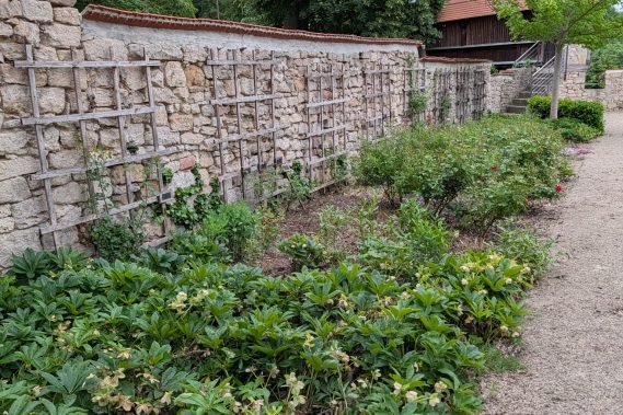 Abeitseinsatz_Rosengarten_6