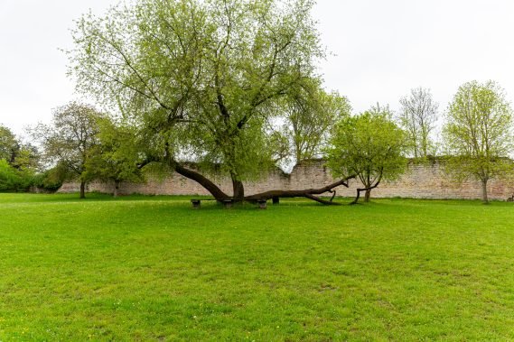 Planhof