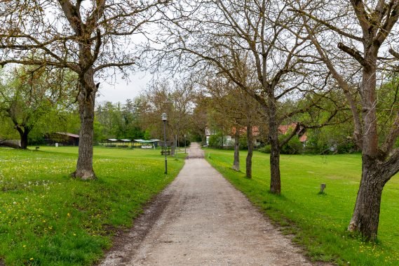 Planhof mit Blick in Richtung Palas
